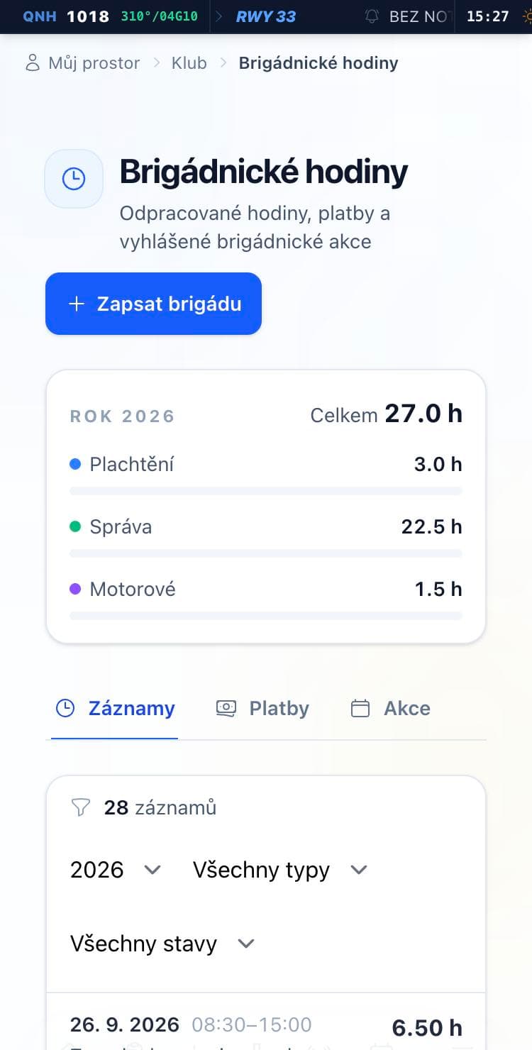 Přehled brigádnických hodin za rok